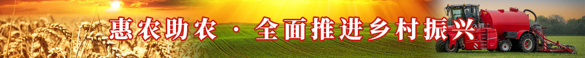 安徽省为农企业服务有限公司