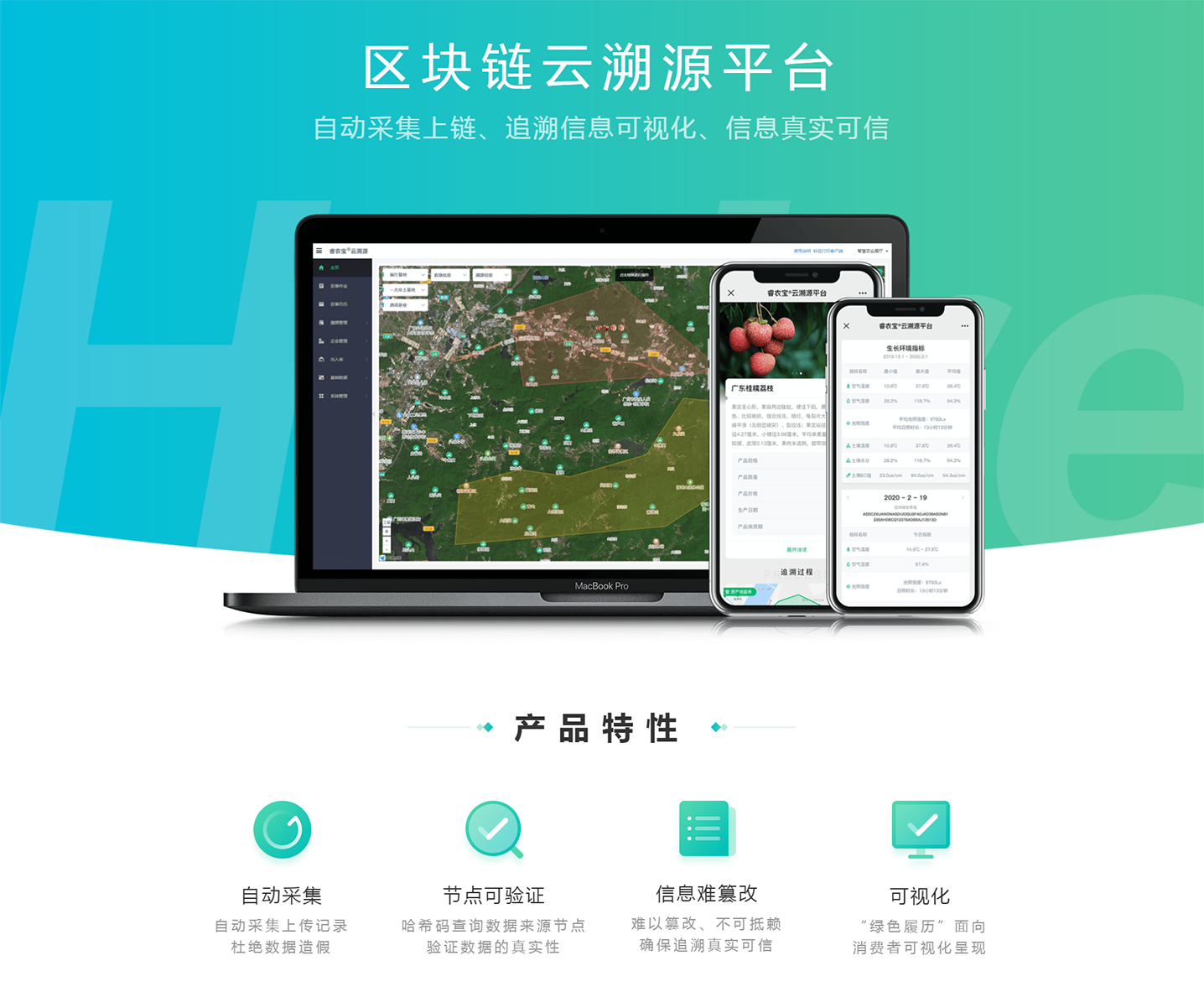 区块链云溯源平台
