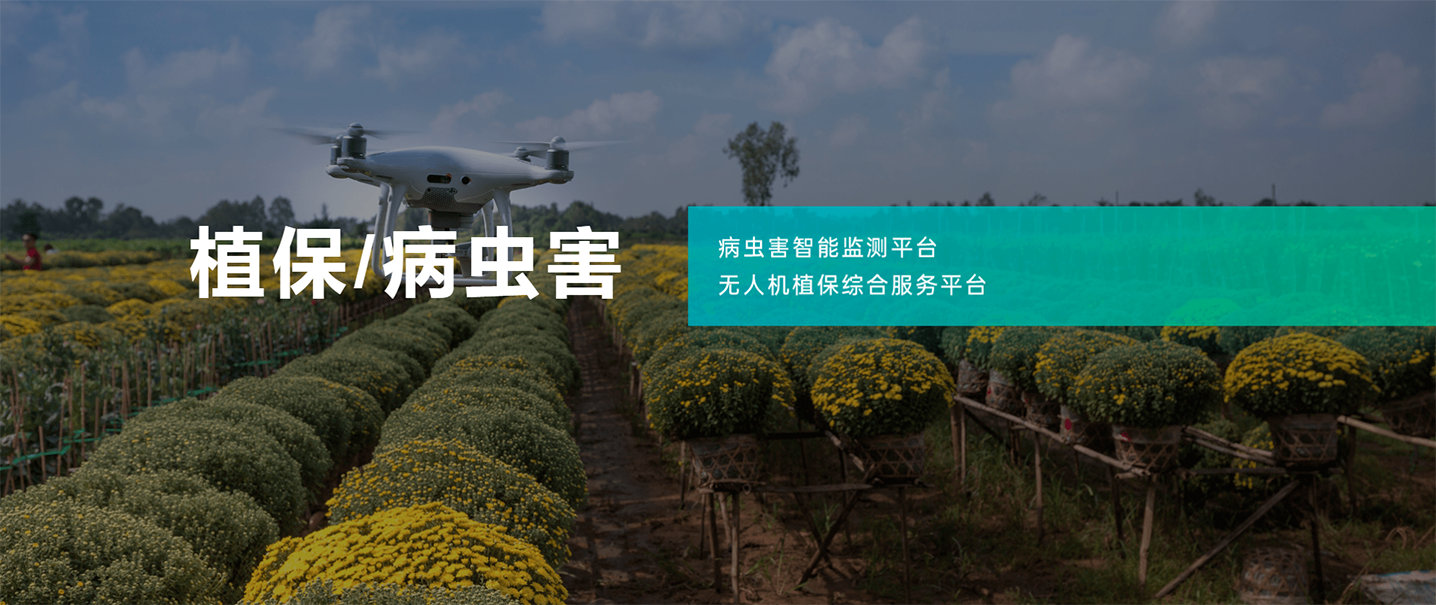 为农植保病虫害监测平台