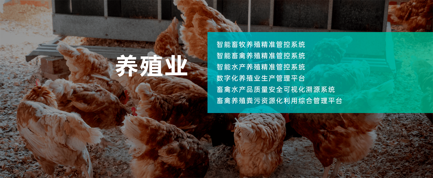 为农智能养殖业管控平台可溯源系统