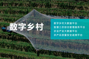 数字乡村